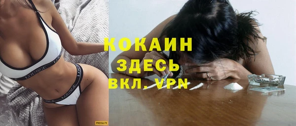 мет Новодвинск