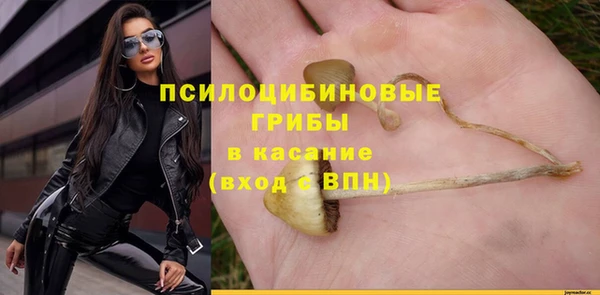 ALPHA PVP Алексин