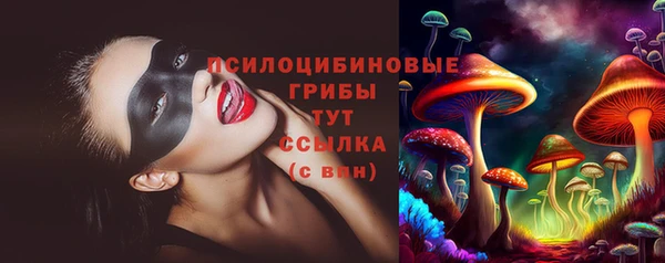 дурь Алзамай