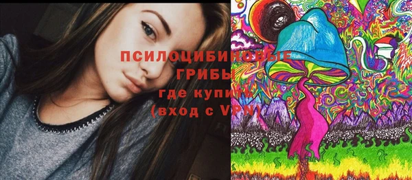 дурь Алзамай