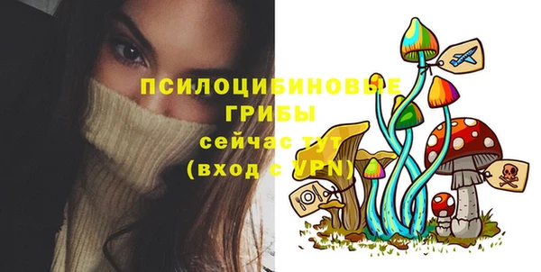 мет Новодвинск
