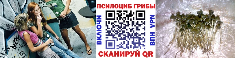 Псилоцибиновые грибы мицелий  что такое наркотик  Сенгилей 